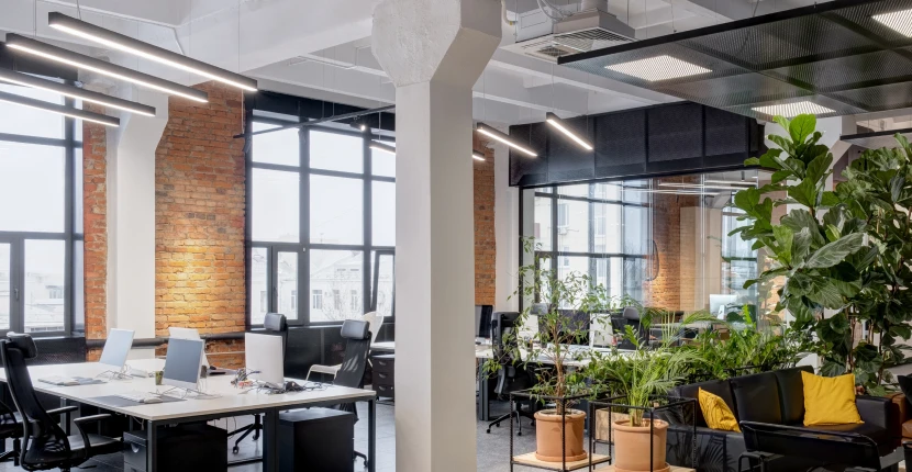 Open concept office area with plants and different types of lighting